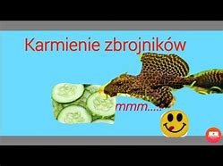 Image result for co_to_znaczy_zbrojnik_lamparci