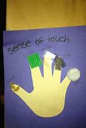 Image result for Sense of Touch Craft