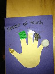 Image result for My 5 Senses Crafts for Babies