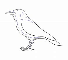 Image result for Raven Draw