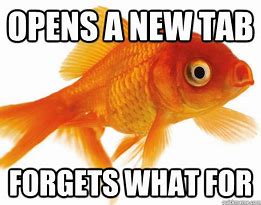 Image result for Forgetful Goldfish Meme