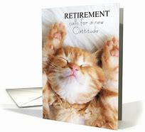 Image result for Retirement Cat