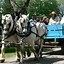 Image result for Things to Do in Lancaster PA Family