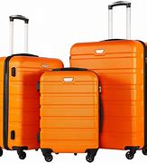 Image result for The Cool Zone Suitcase