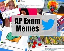 Image result for AP Testing Memes