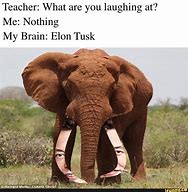 Image result for Where Are You Laughing My Brain Meme