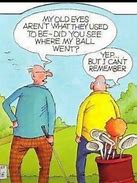 Image result for Golf Humor