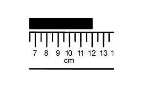 Image result for How Long 20Cm