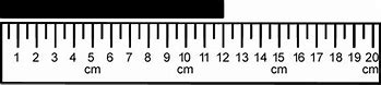Image result for 20 Cm Ruler