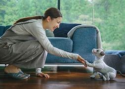 Image result for Aibo Robot Entertainment