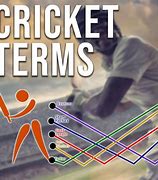 Image result for Cricket Terms to Use in Ads
