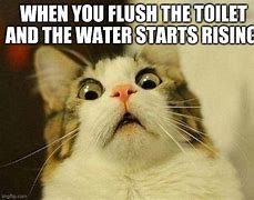 Image result for Water Level Rising Meme