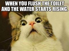 Image result for Rising From Water Meme