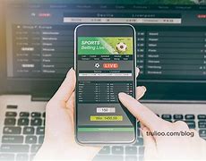 Image result for Online Cricket Betting Sites