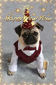 Image result for Happy New Year Humour
