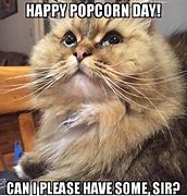 Image result for Popcorn Cat Meme