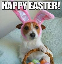 Image result for Cute Easter Bunny Memes
