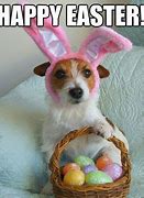 Image result for Funny Easter Wishes Meme