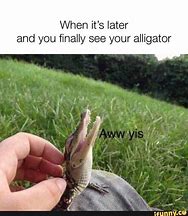 Image result for See You Later Funny Animal Memes