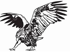 Image result for Transparent Eagle Clip Art