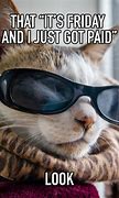 Image result for Friday Cat Meme