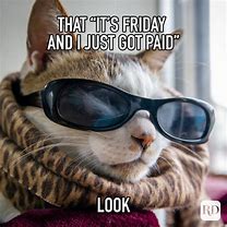Image result for Funny Its Friday Cat Meme