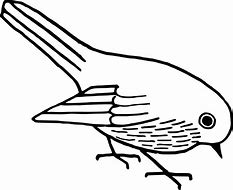 Image result for Bird Clip Art Line