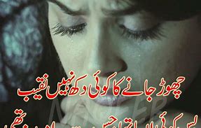 Image result for Funny Urdu Poetry Sad