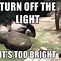 Image result for Bright Light Funny Meme