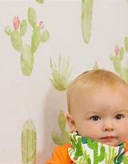 Image result for Cactus Wallpaper Laptop