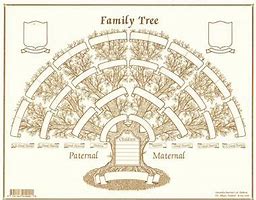 Image result for Casey Family Tree