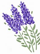 Image result for Lavender Icon