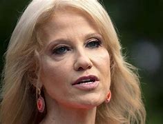 Image result for Spokesperson Kelly Conway