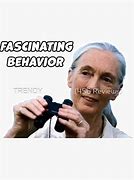 Image result for Fasinating Behavior Meme Know Your Meme