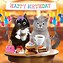 Image result for Happy Cat Lady Birthday Katie