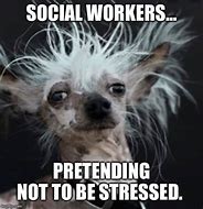 Image result for Seeing Social Work Memes