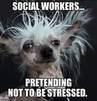 Image result for Social Worker Memes