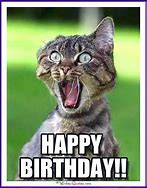Image result for Happy Birthday Eva Memes with Cats