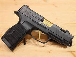 Image result for Sig P365 XL