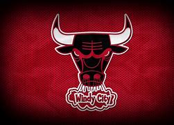 Image result for Chicago Bulls Cool Logo