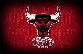 Image result for Chicago Bulls Basketball Logo