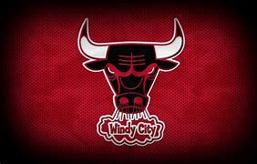 Image result for Windy City Bulls Logo