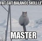 Image result for Diet Cat Meme