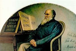 Image result for Darwin (operating system) wikipedia