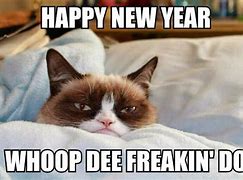 Image result for Cat Happy New Year Knock