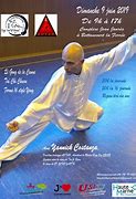 Image result for Tai Chi Chuan Wu France Hiacine