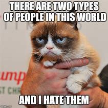 Image result for Top Grumpy Cat Memes