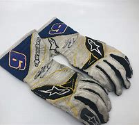 Image result for Chase Elliott Gloves