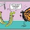Image result for Butterfly Humor