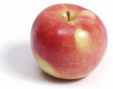 Image result for apple